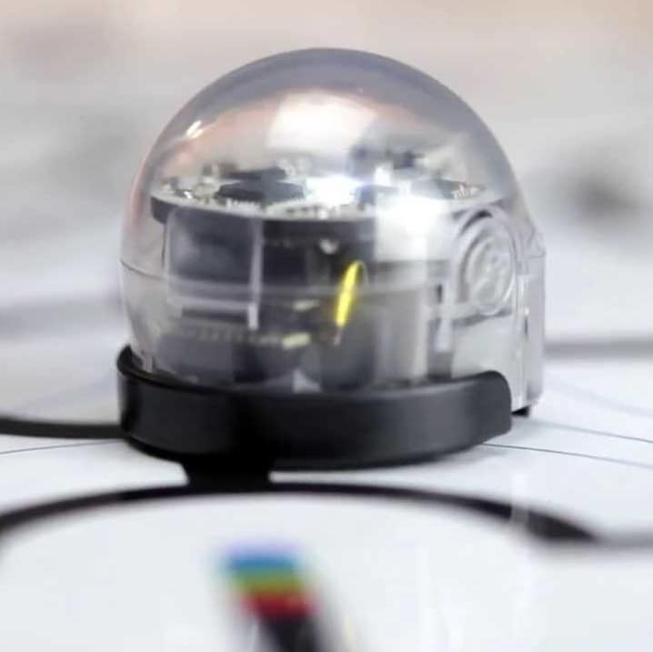 Zajęcia rozwijające myślenie logiczne z elemenatami robotyki